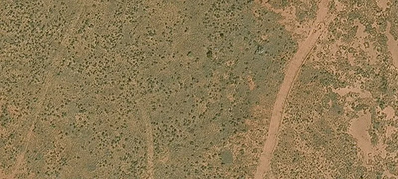 Snowflake, AZ 85937