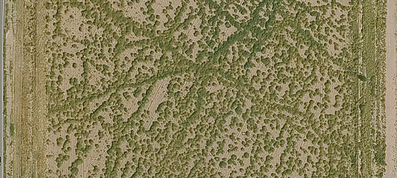 San Tan Valley, AZ 85143