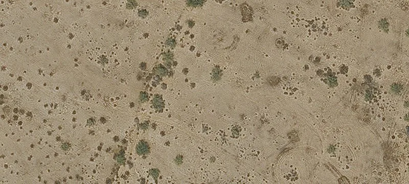 Litchfield Park, AZ 85340