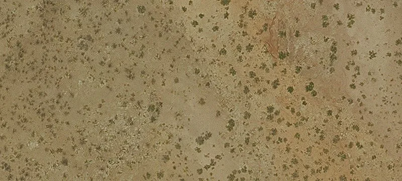 Douglas, AZ 85607