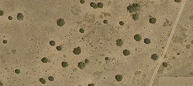Chambers, AZ 86502