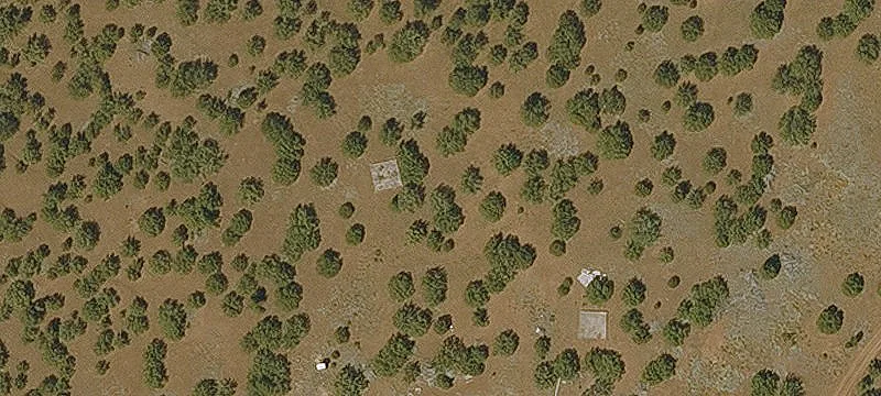 Concho, AZ 85924