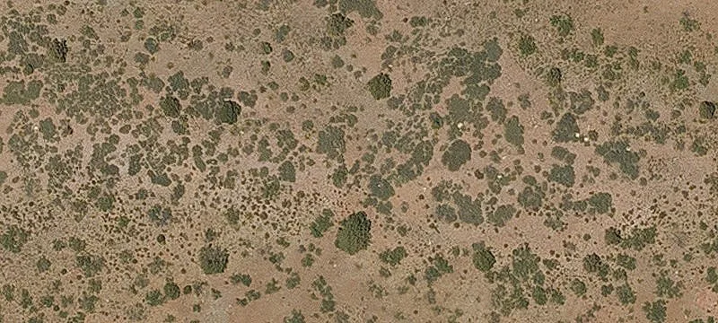 Clifton, AZ 85533