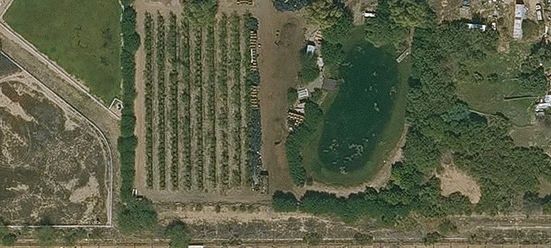 Litchfield Park, AZ 85340