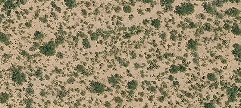 1224 Sahuarita Rd