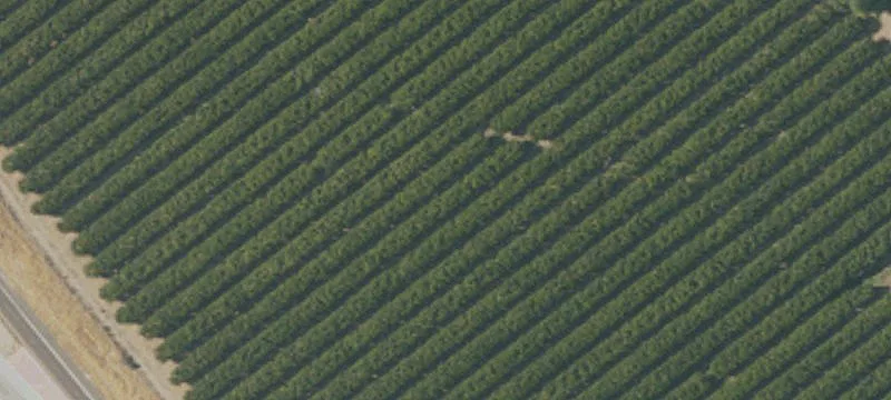 Kingsburg, CA 93631