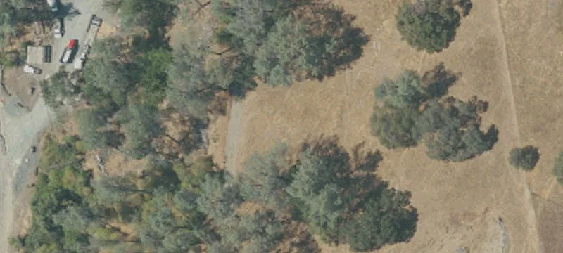 175 Sutter Hl Rd