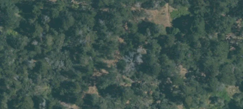 Sylvan Rd