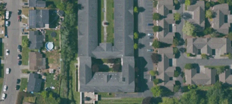 2401 Redwood Way