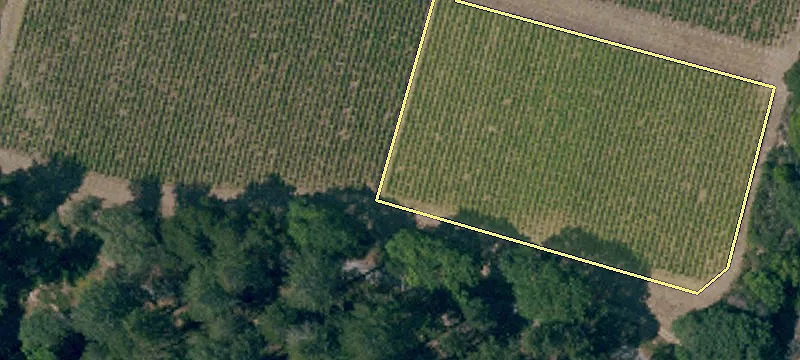 3875 Mt Veeder Rd