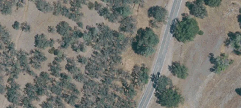729 New Long Vly Rd