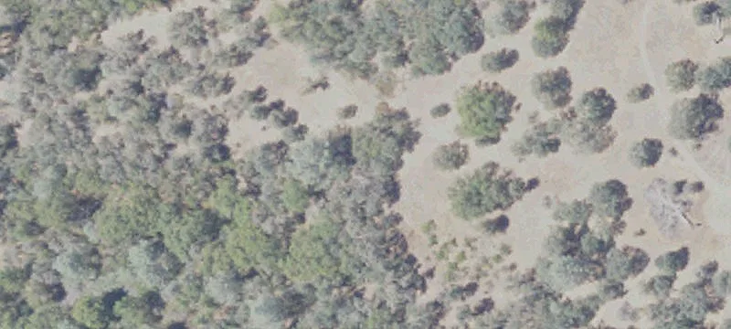 15752 State Highway 49