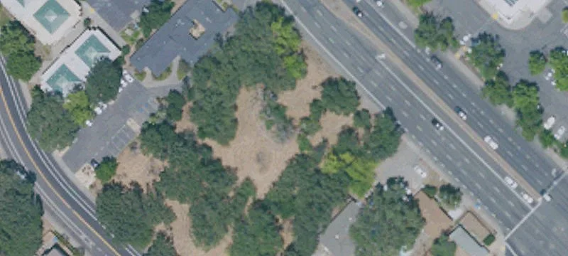 950 Alamo Dr