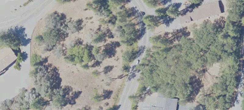 10163 Alta Sierra Dr