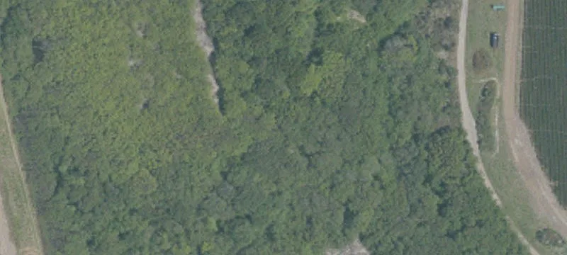 1800 Coast Rd