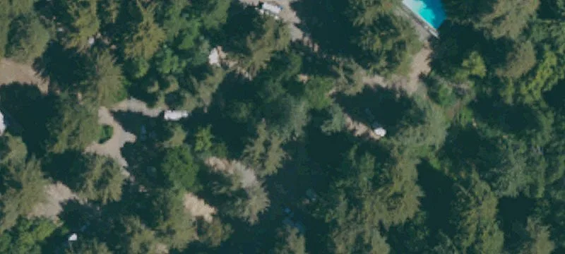 300 Old Big Trees Rd