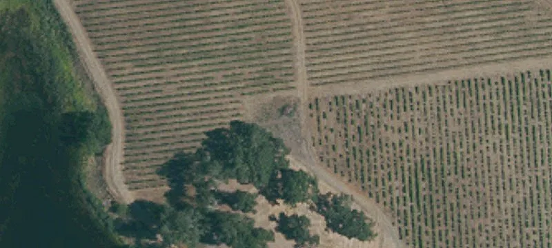 4155 Wine Crk Rd