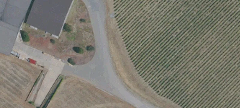 2450 Hwy 128