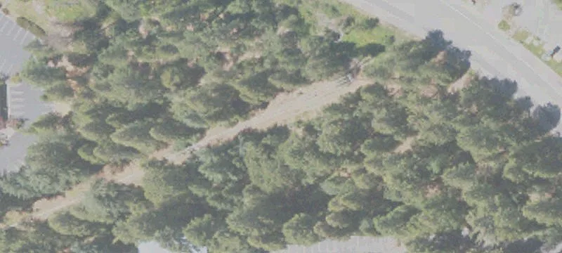 457 Brunswick Rd