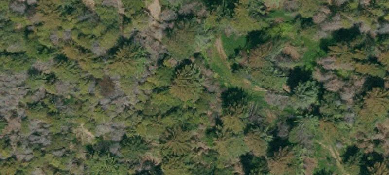 2500 China Grade Rd
