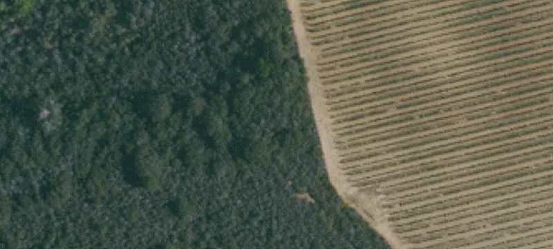 9711 Dry Crk Rd