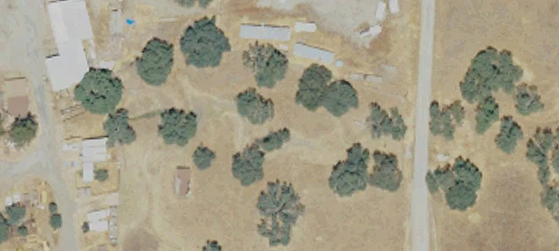 31105 Kings Cyn Rd