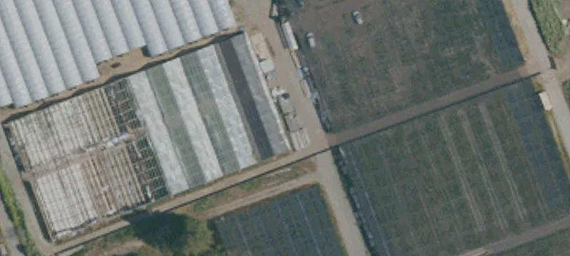650 Buena Vis Dr