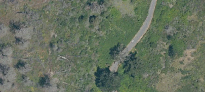 3640 Hwy 1st 1