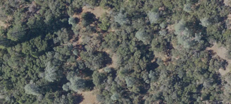 14152 French Town Rd