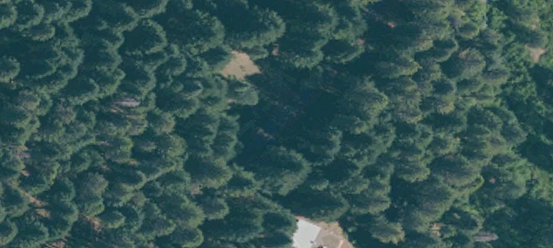 Willow Creek
