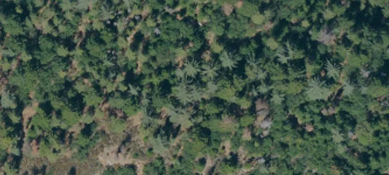 3200 Harrison Gulch Rd