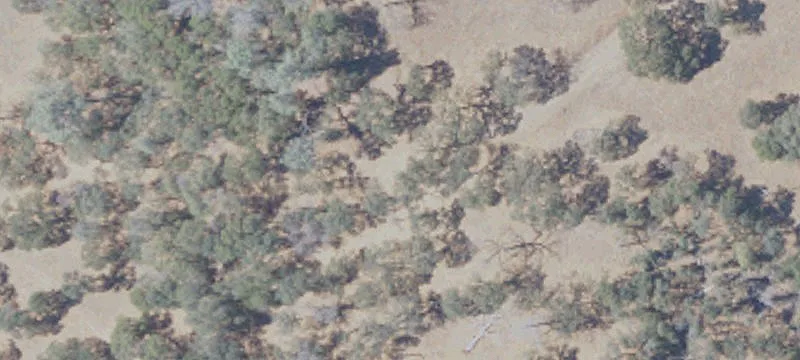8764 Scott Forbes Rd