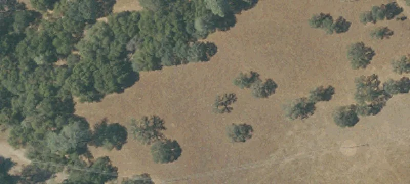 4613 Hwy 12