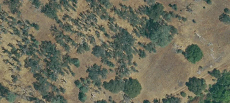 35880 Hwy 41