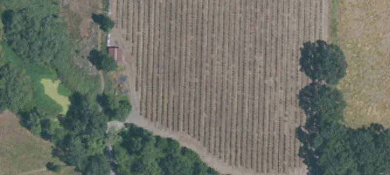 5345 Occidental Rd