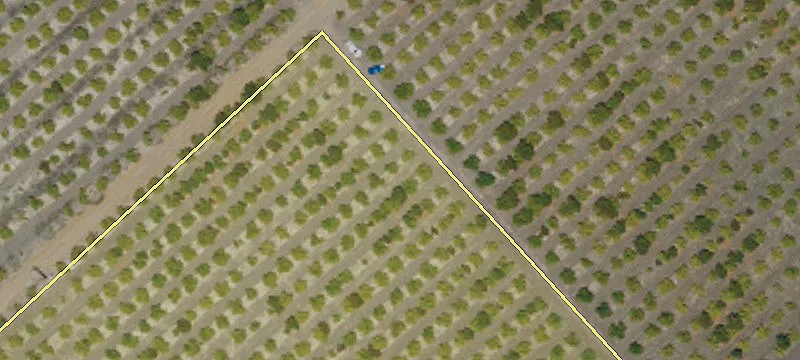 286 Haggerty Way