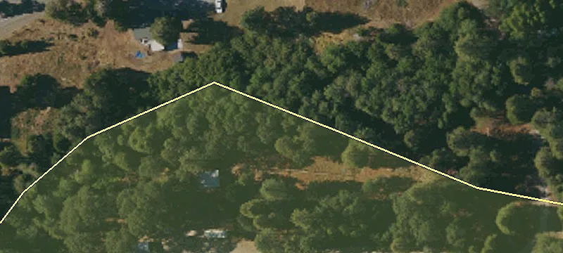 31233 State Hwy 44