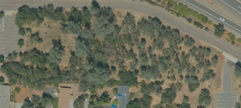 1855 Mistletoe Ln