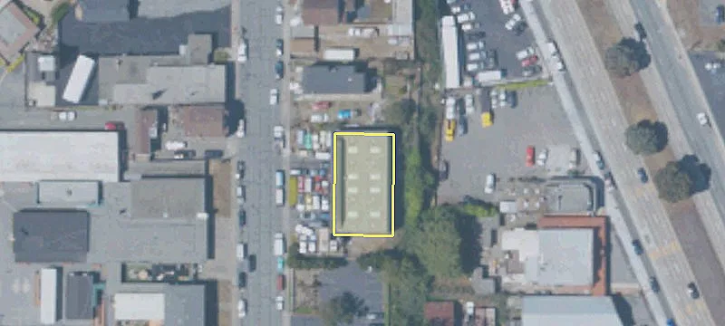 55 Reiner St