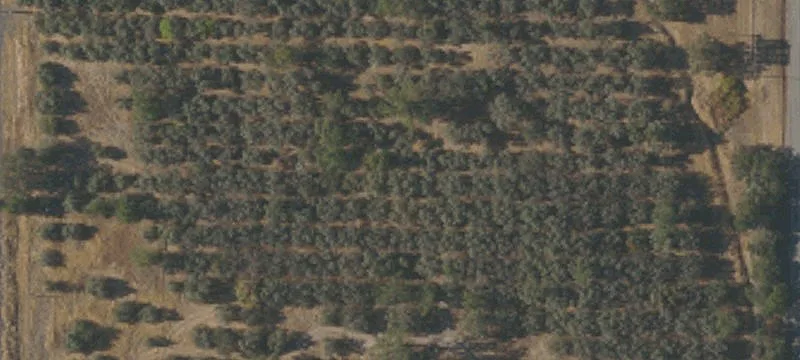 3053 99w