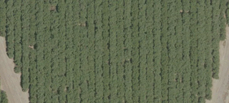 1231 Kaufman Rd