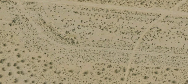 26990 20th Mule Team Rd