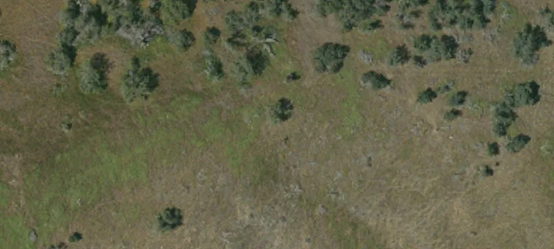 4115 Ft Tejon Rd
