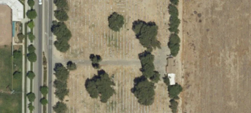 310 Goldenrod Ave