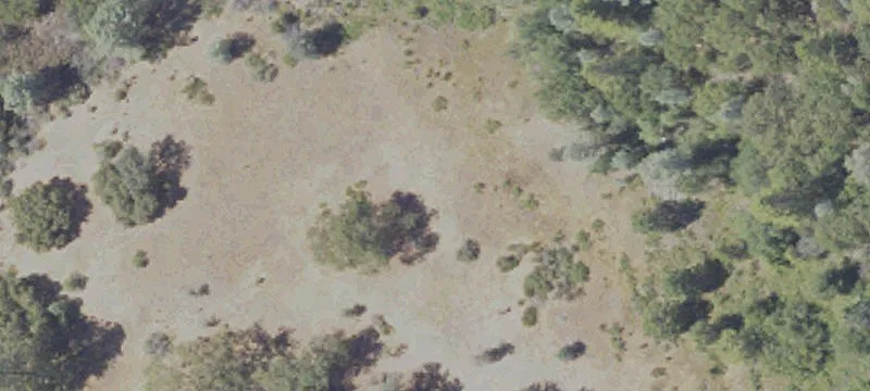 13224 Tyler Foote Rd