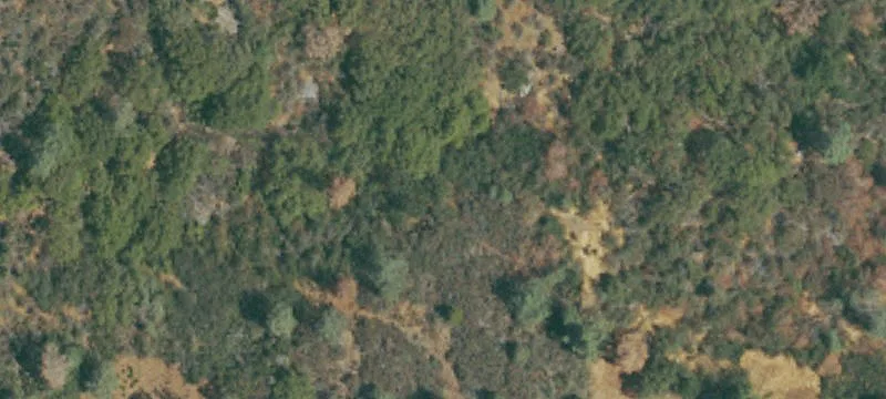 43956 Hwy 41