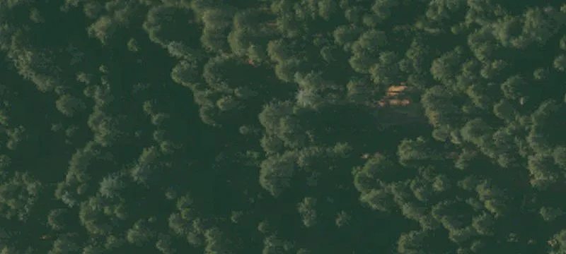 6321 Peaceful Mtn Rd