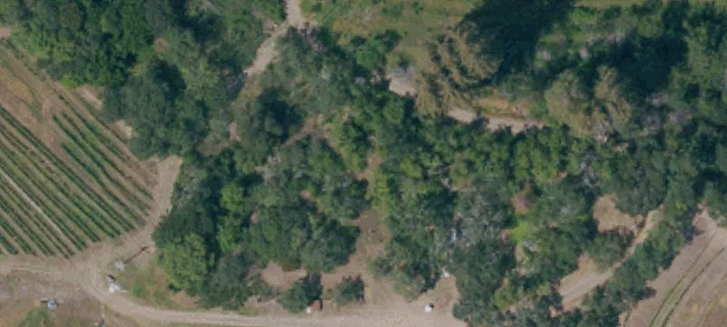 1999 Mt Veeder Rd