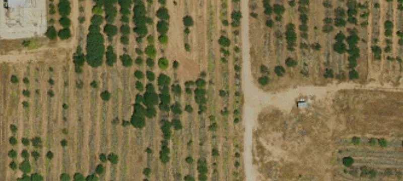 38021 Us Hwy 60