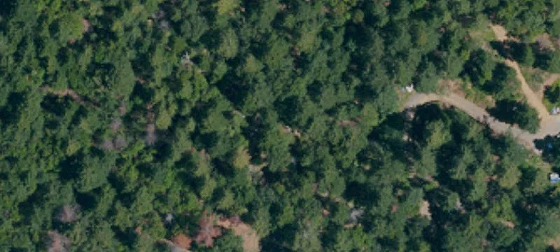12350 Oat Gap Rd